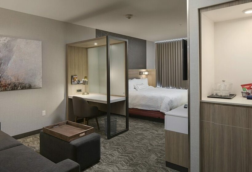 سوییت, Springhill Suites By Marriott Kalispell