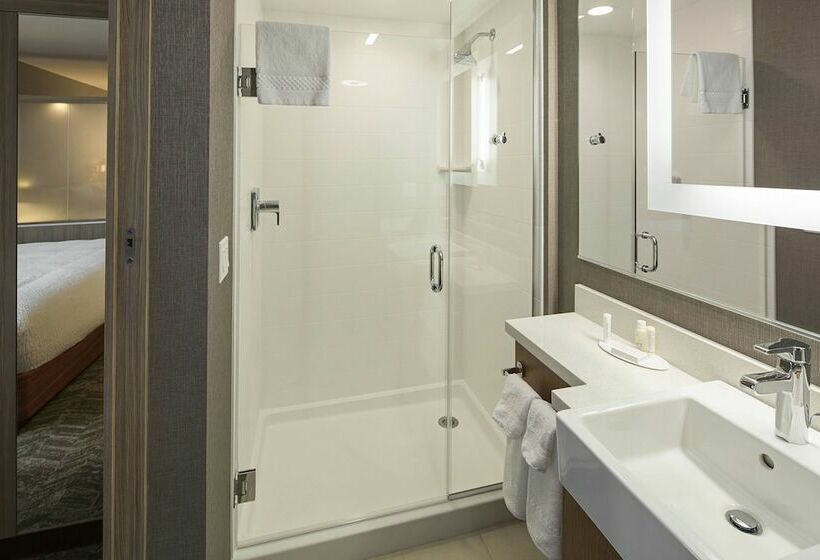 スイート, Springhill Suites By Marriott Kalispell