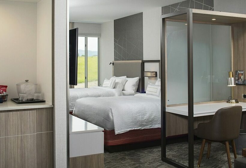 スイート, Springhill Suites By Marriott Kalispell