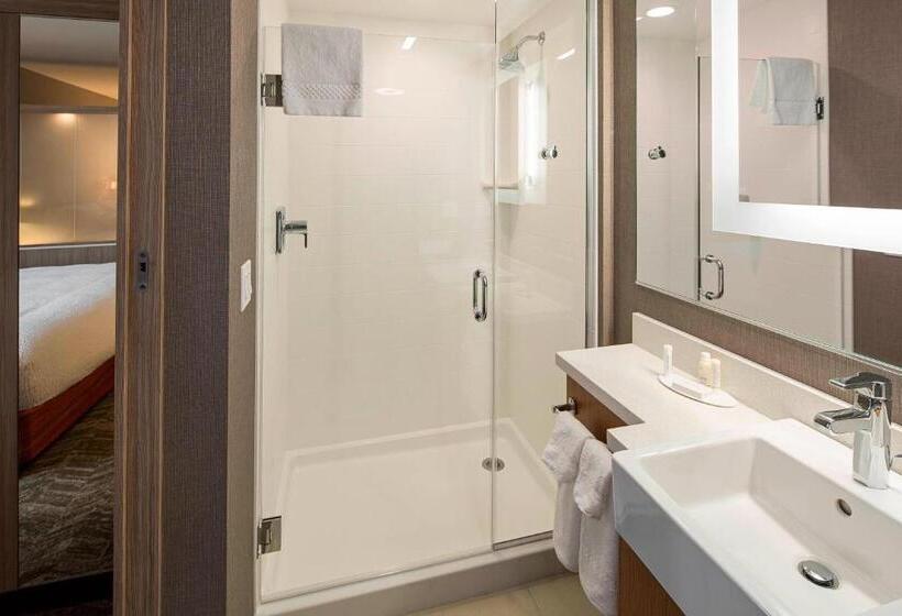 キングサイズベッドのスイートルーム, Springhill Suites By Marriott Kalispell