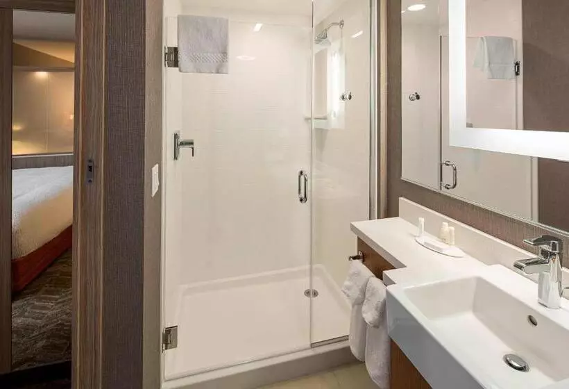キングサイズベッドのスイートルーム, Springhill Suites By Marriott Kalispell