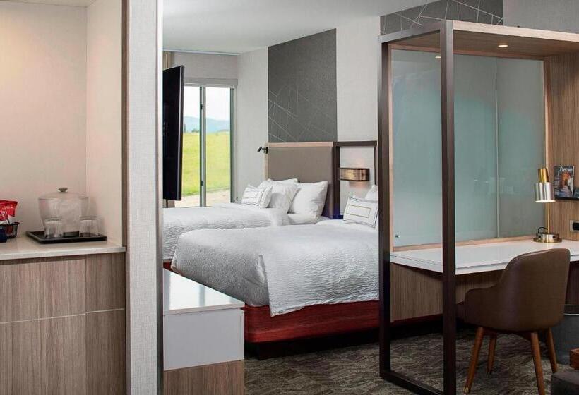 سوییت, Springhill Suites By Marriott Kalispell