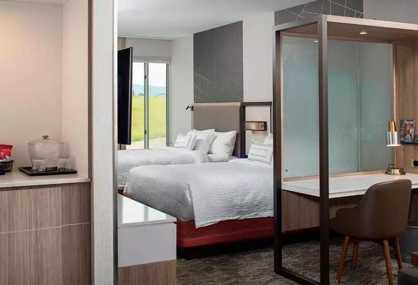 スイート, Springhill Suites By Marriott Kalispell