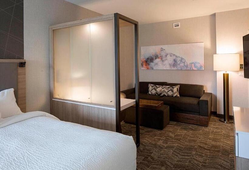 スイート, Springhill Suites By Marriott Kalispell