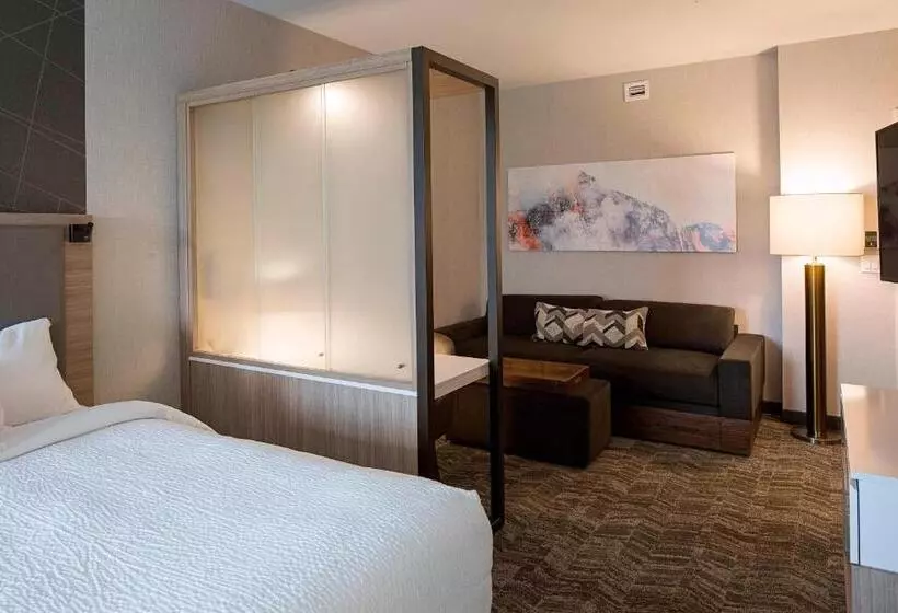スイート, Springhill Suites By Marriott Kalispell