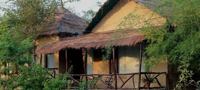 חדר דלוקס, Tiger Lagoon Bandhavgarh