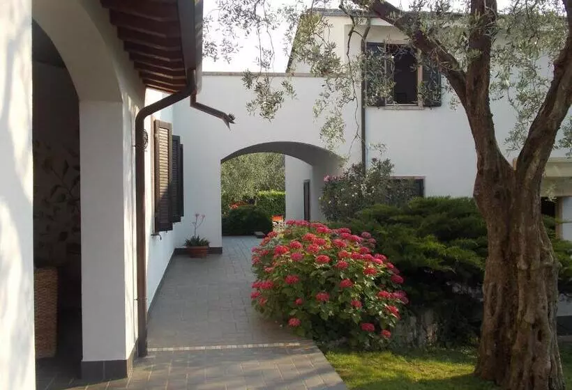 １ベッドルームエコノミーアパートメント, Residence Alesi