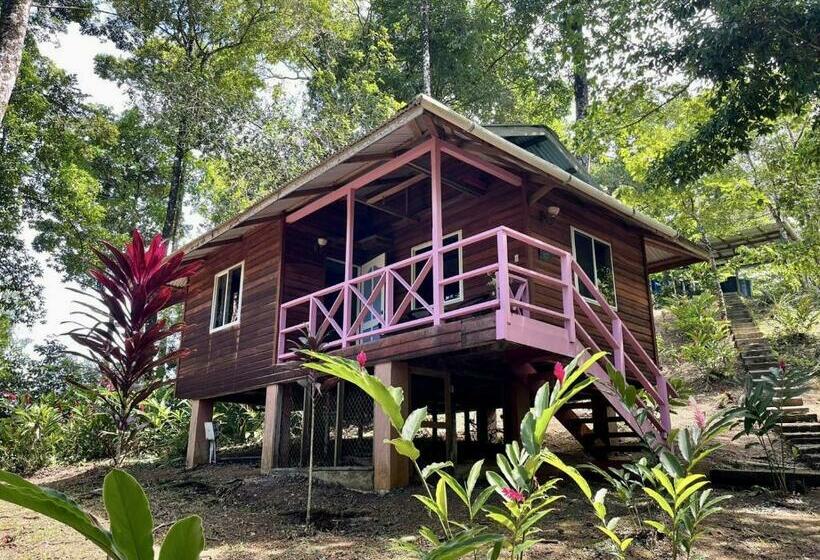 침실 1개 바다 전망 아파트, Akwaba Lodge