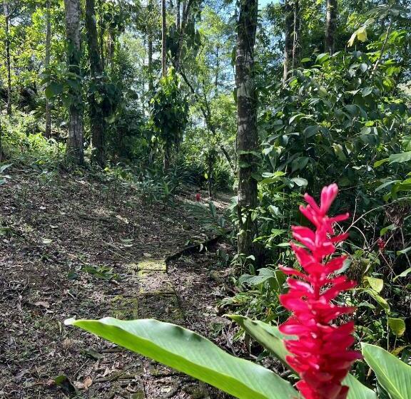 침실 1개 바다 전망 아파트, Akwaba Lodge