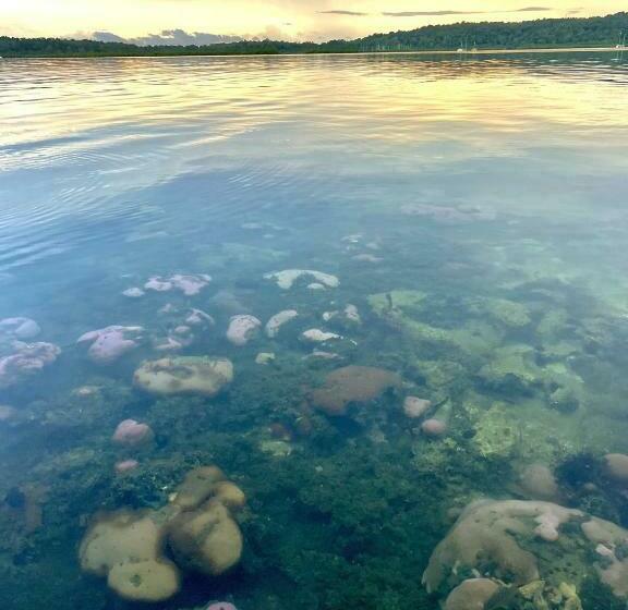 패밀리 룸, Akwaba Lodge