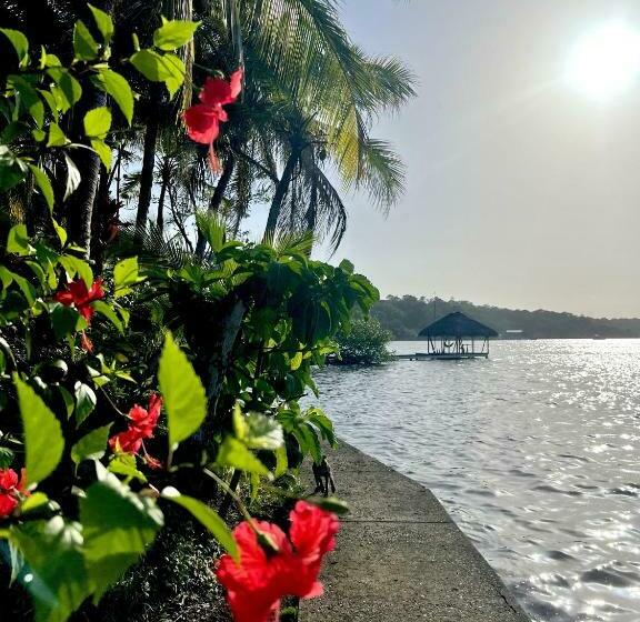 패밀리 룸, Akwaba Lodge