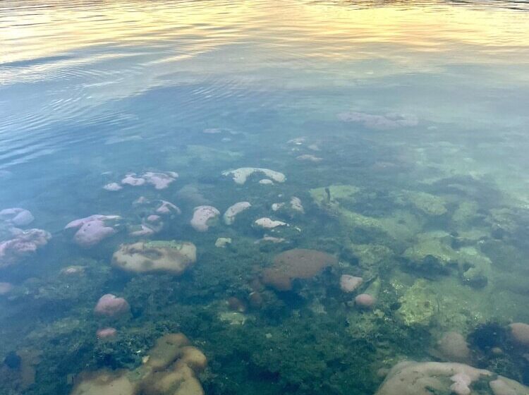 스탠다드 룸 바다 전망, Akwaba Lodge