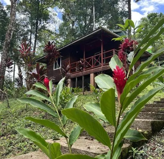 Talo 1 Makuuhuone, Akwaba Lodge