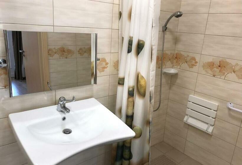 身障者適用スタンダードルーム, Tó Party Apartman