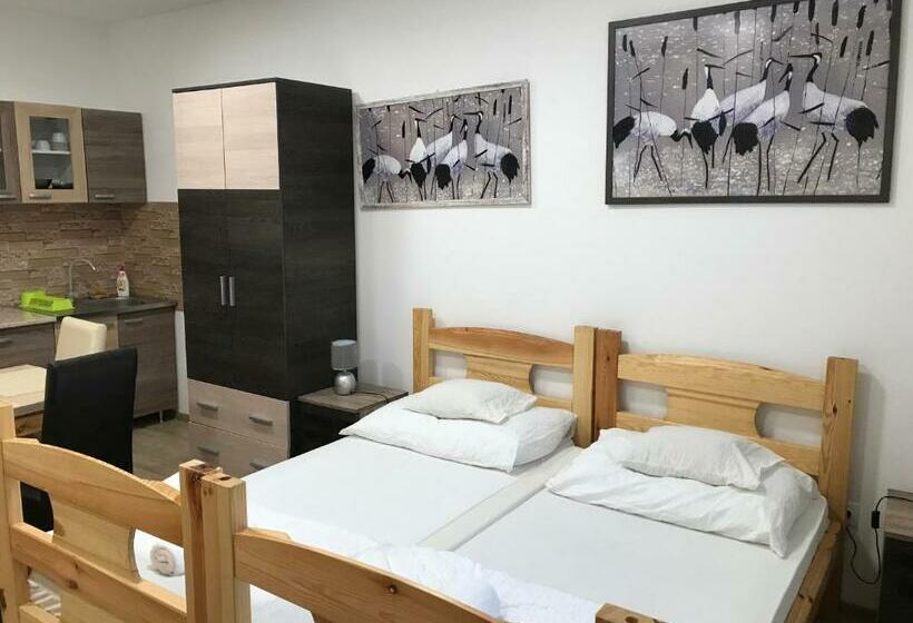 １階の１ベッドルームアパートメント, Tó Party Apartman