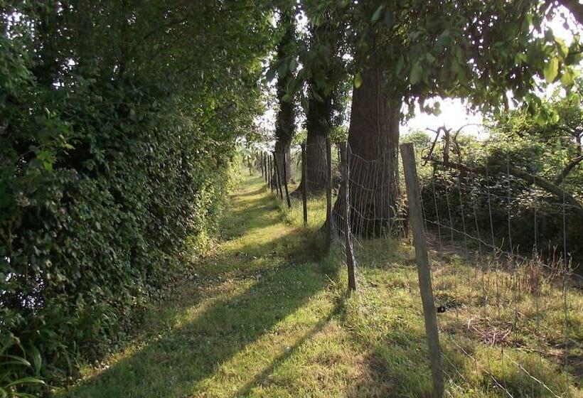 四人标准间, Au Pied Du Frêne