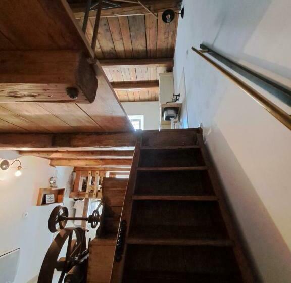 스탠다드 룸, Statek 100dola