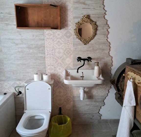 스탠다드 룸, Statek 100dola