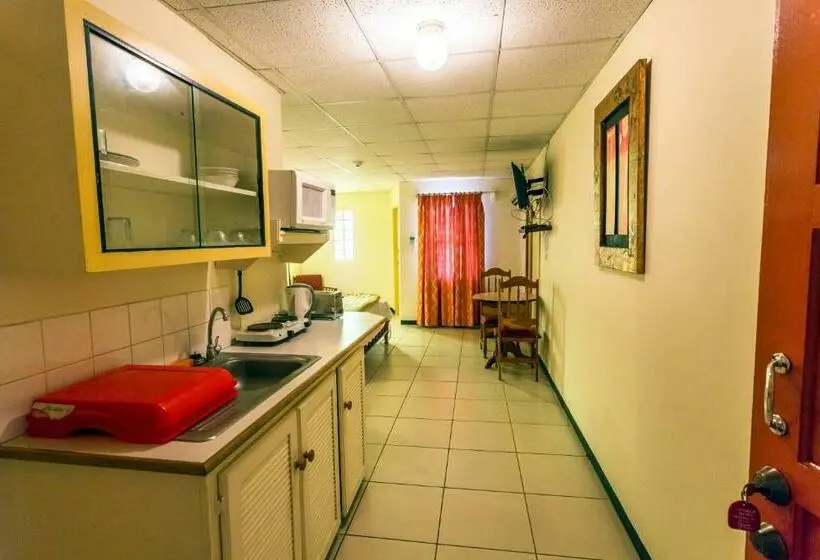 اتاق استاندارد یک تخته با بالکن, Sundeck Suites