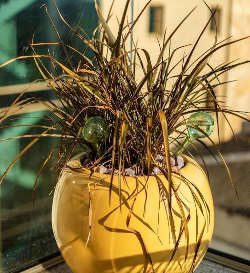 １ベッドルームアパートメント, Rosetti One