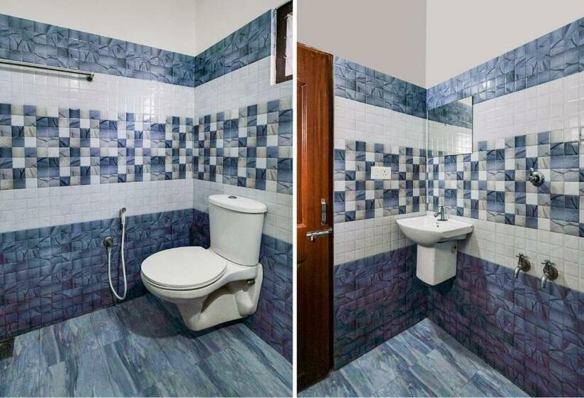 Camera Standard, O Dream Stay