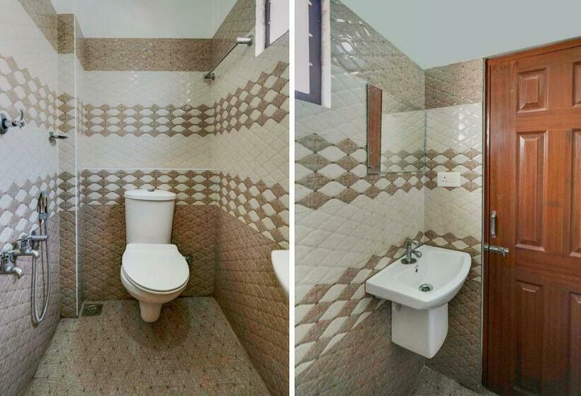 Camera Standard, O Dream Stay