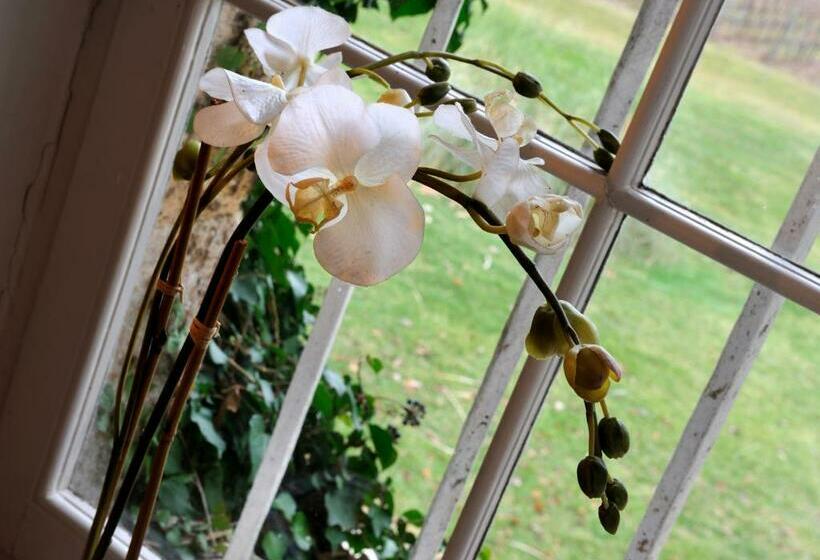 スタンダードルーム, Château Fombrauge   Bernard Magrez Luxury Wine Experience