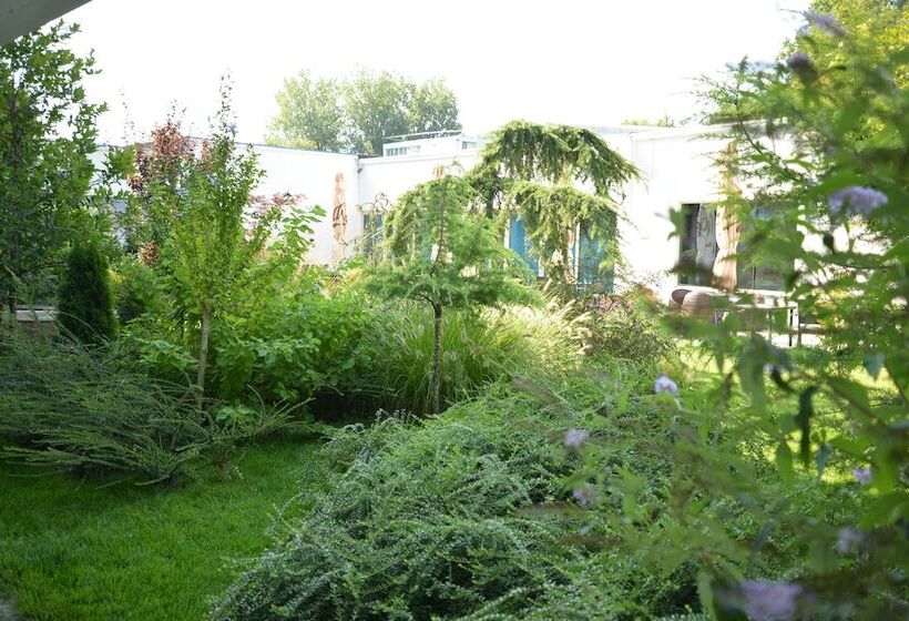 スタンダードルーム, Bavaria Blu