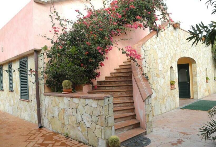 Номер Стандарт, Fertilia