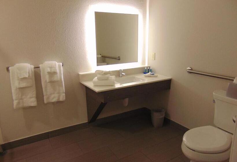 غرفة قياسية لذوى الاحتياجات الخاصة, Holiday Inn Express & Suites Boynton Beach East, An Ihg