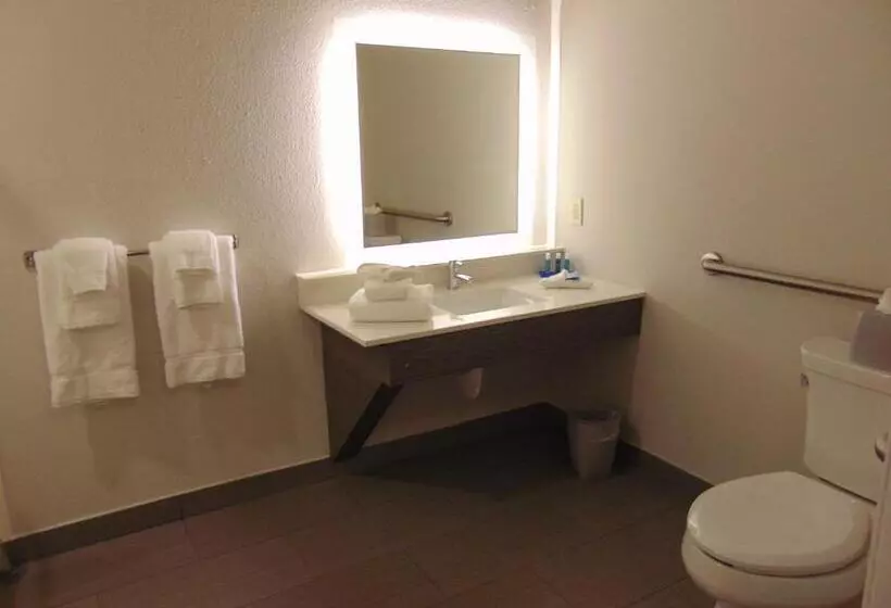 身障者適用スタンダードルーム, Holiday Inn Express & Suites Boynton Beach East, An Ihg