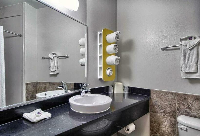 4인용 스탠다드 룸, Motel 6weslaco, Tx