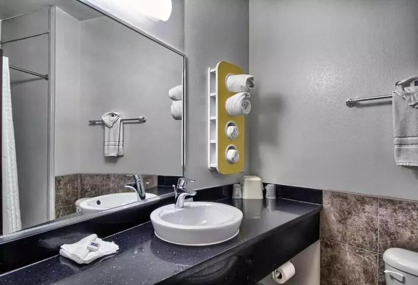 スタンダードスタジオ, Motel 6weslaco, Tx