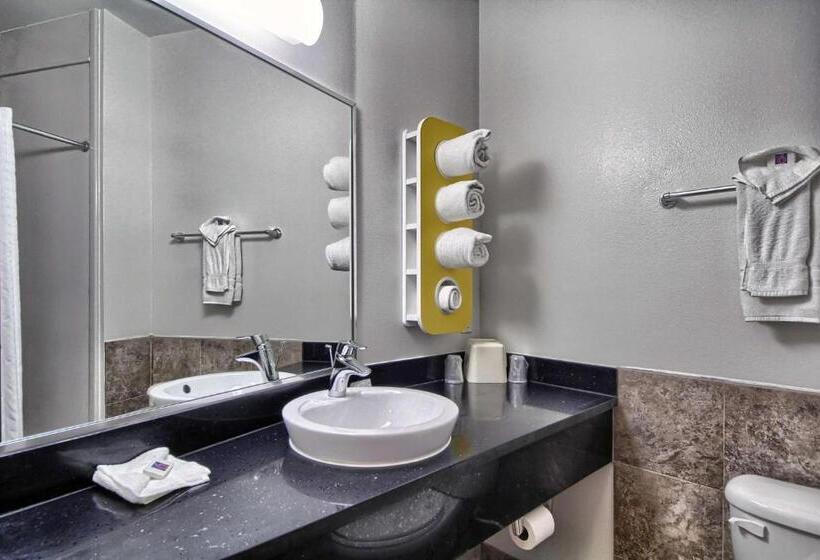 스탠다드 스튜디오, Motel 6weslaco, Tx