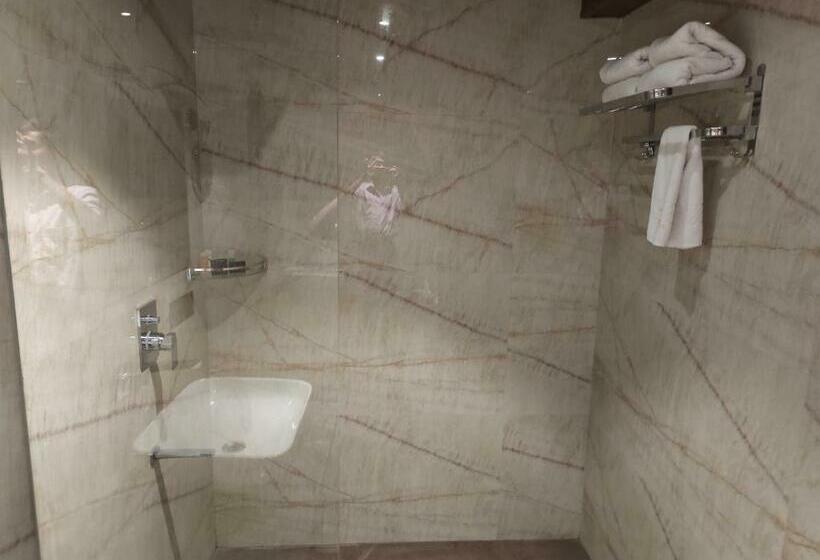 غرفة سوبيريور, Lavish Inn