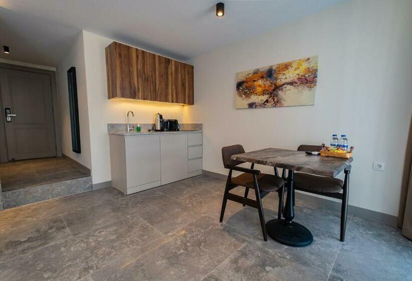 Suite with Terrace, Bd Suites