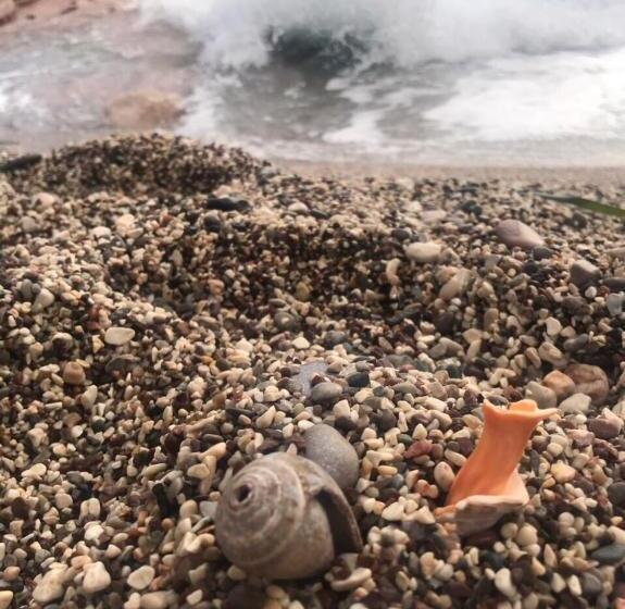 استودیوی استاندارد با چشم‌انداز دریا, Sunset Blizikuće