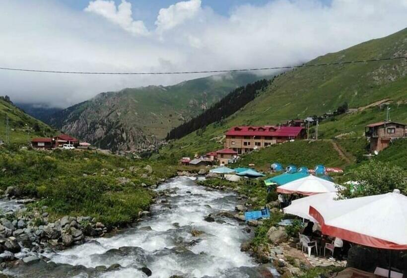 Апартаменты 1 Спальня с Видом, Demirkapı Brown House