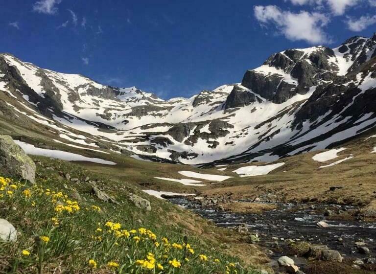 Апартаменты 1 Спальня с Видом, Demirkapı Brown House