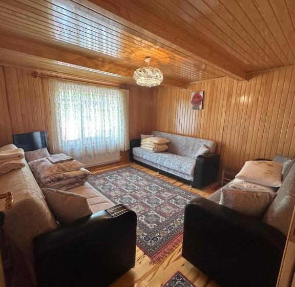 Апартаменты 1 Спальня с Видом, Demirkapı Brown House