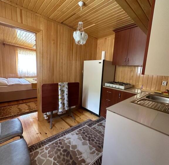 Апартаменты 1 Спальня с Видом, Demirkapı Brown House