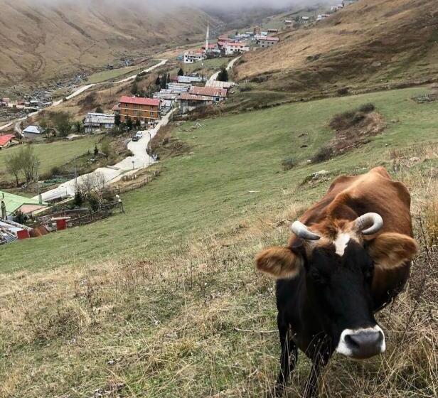 Апартаменты 1 Спальня с Видом, Demirkapı Brown House