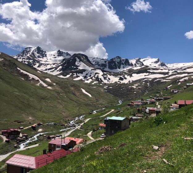 Апартаменты 1 Спальня с Видом, Demirkapı Brown House