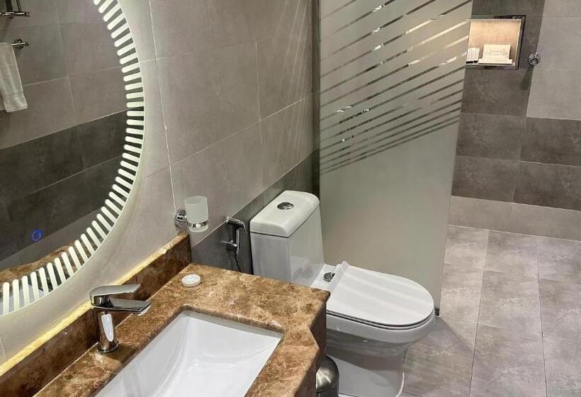 اتاق استاندارد, فندق حياة تاون 2
