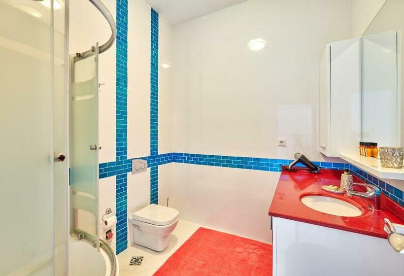 شقة ديلوكس غرفة واحدة, Beyaz Köşk Geyve