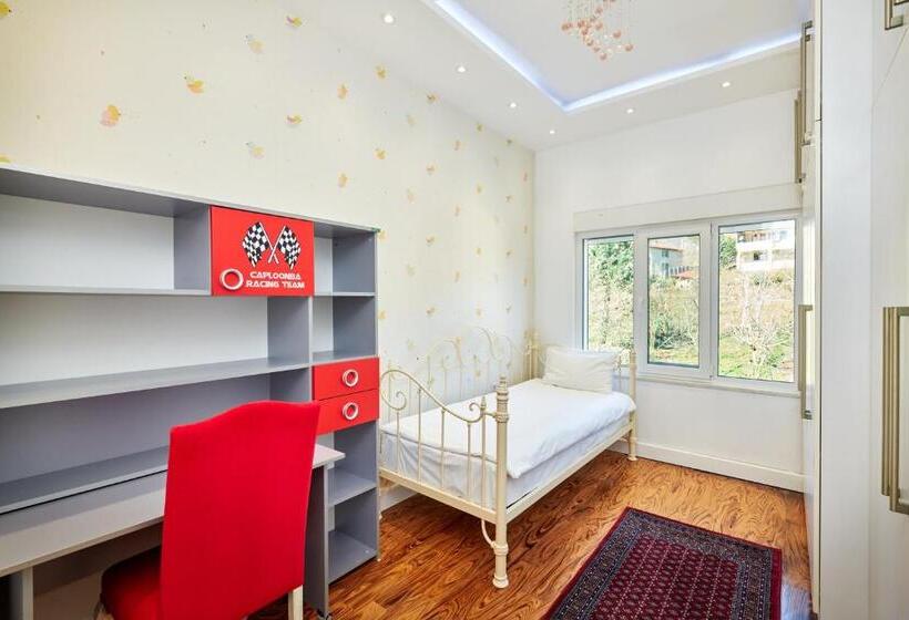 شقة ديلوكس غرفة واحدة, Beyaz Köşk Geyve