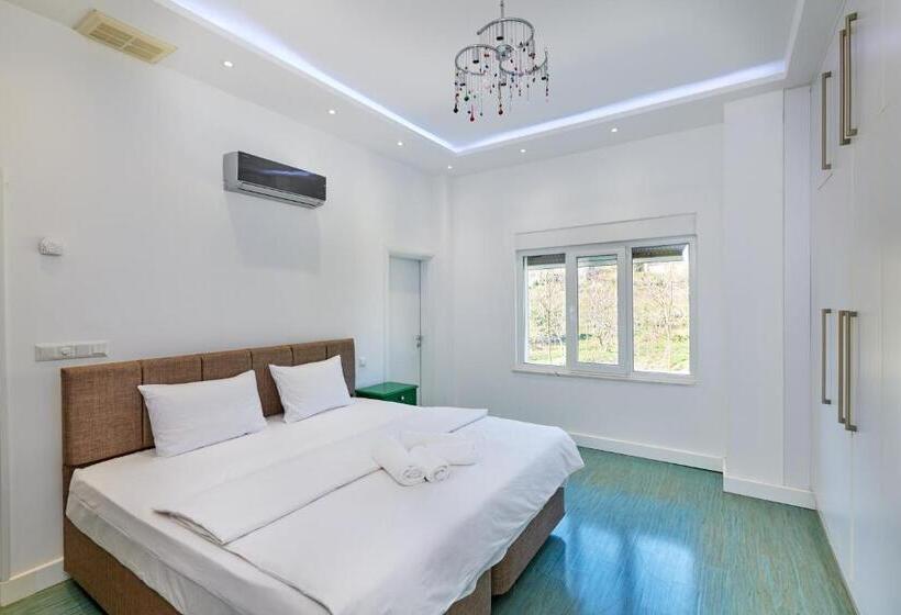 شقة ديلوكس غرفة واحدة, Beyaz Köşk Geyve