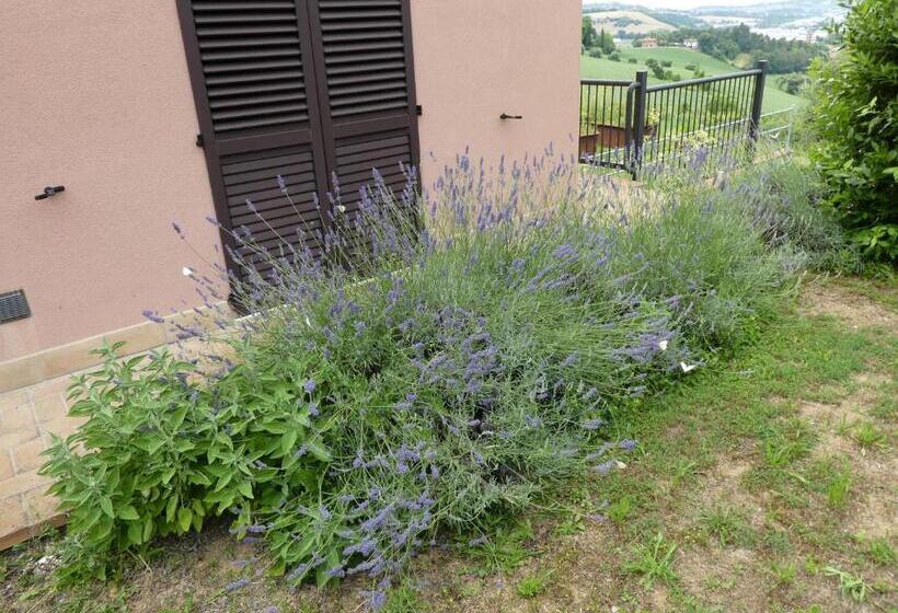 스탠다드 룸, Papaveri Del Conero Affittacamere