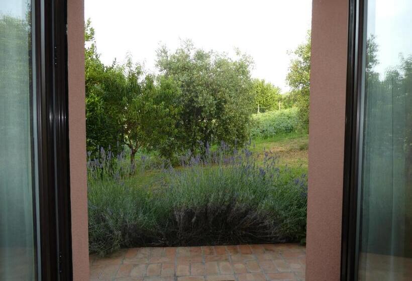 스탠다드 룸, Papaveri Del Conero Affittacamere