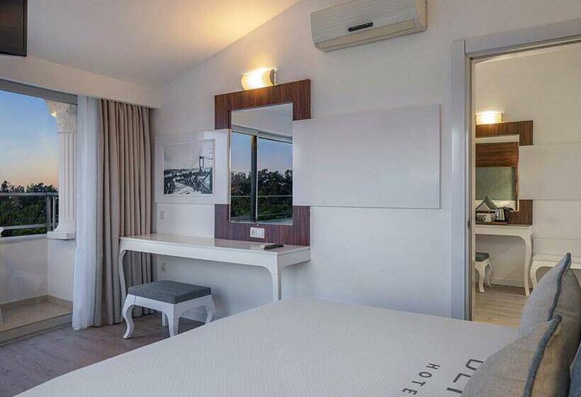 اتاق خانوادگی با چشمانداز باغ, Berry Blue Hotels